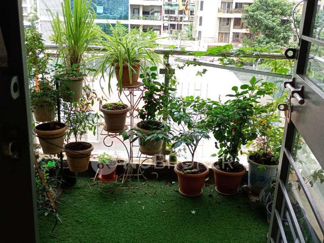 1 BHK Flat In Infinity Pride for Rent In Rasikwadi, Punaw