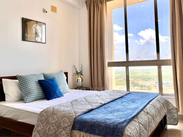 1 BHK Flat In Lavinia for Rent In Lavinia