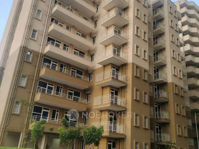 1 BHK Flat In Pyramid Urban Homes 2 for Rent In Sector 86