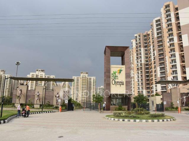 1 BHK Flat In Palm Olympia for Rent In Noida Extention