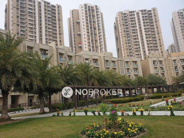 1 BHK Flat In Paras Tierea for Rent In Sector 137