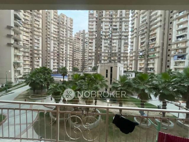 1 BHK Flat In Rapal Dewan Plaza for Rent In Sector 1