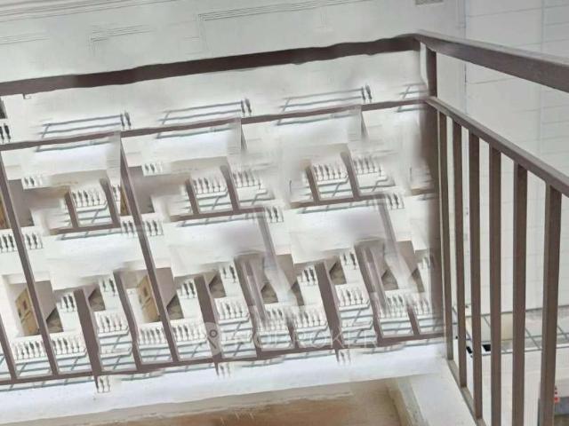 1 BHK Flat In Rof Amaltas for Rent In Sector 92