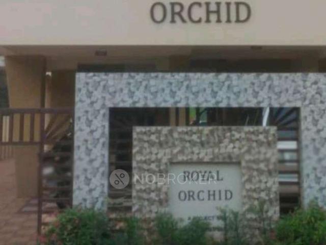 1 BHK Flat In Royal Orchid Mohan Nagar Baner For Sale In Baner