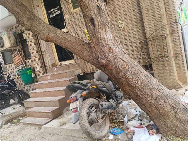 1 BHK Flat In Standalone Building for Rent In Sector 24