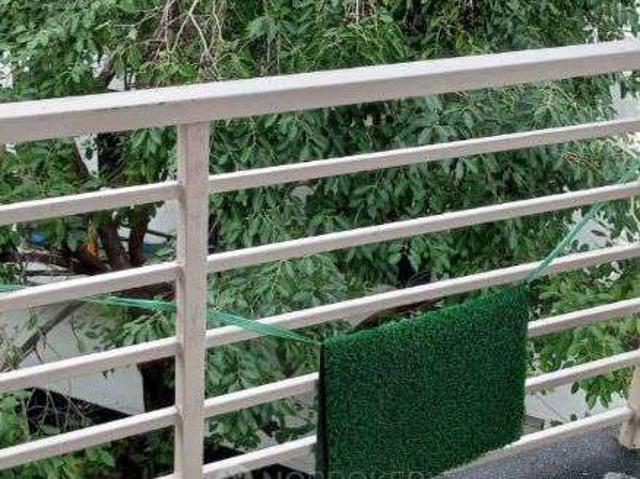 1 BHK Flat In Swastik For Sale In Raju Park, Khanpur
