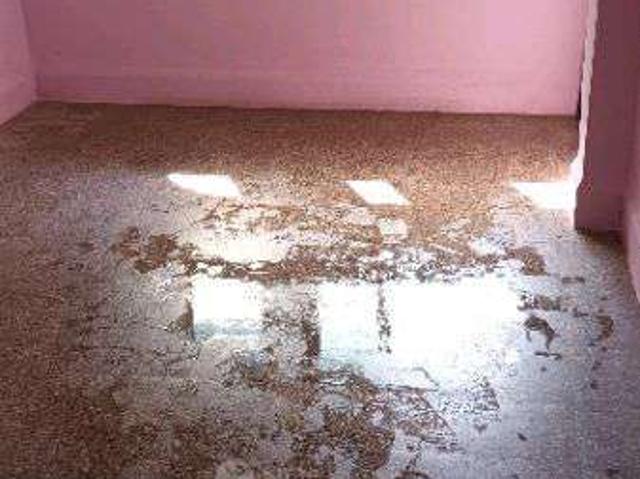 1 BHK Flat In Sadhu Hiranand Society for Lease In Kandivali