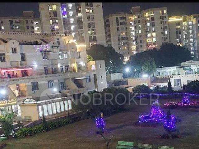 1 BHK Flat In Scale Apartment for Rent In Dlf Phase 1