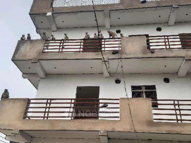 1 BHK Flat In Shree Balbhadra Dham for Rent In Sector 9
