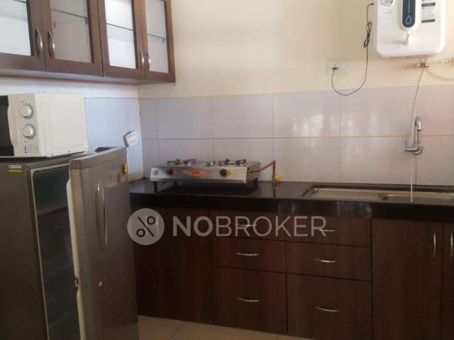 1 BHK Flat In Tcg The Crown Greens For Sale In Hinjewadi