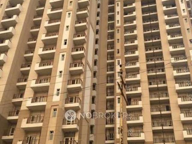 1 BHK Flat In The Golden Palms For Sale In Sector 168