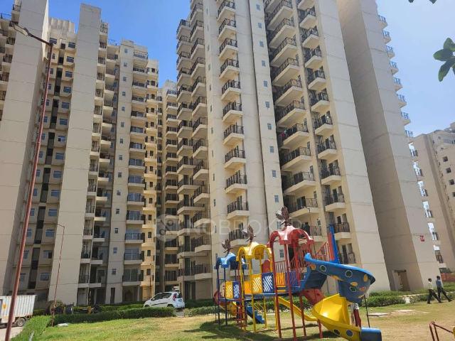 1 BHK Flat In Vividil Parasise for Rent In Sector 62