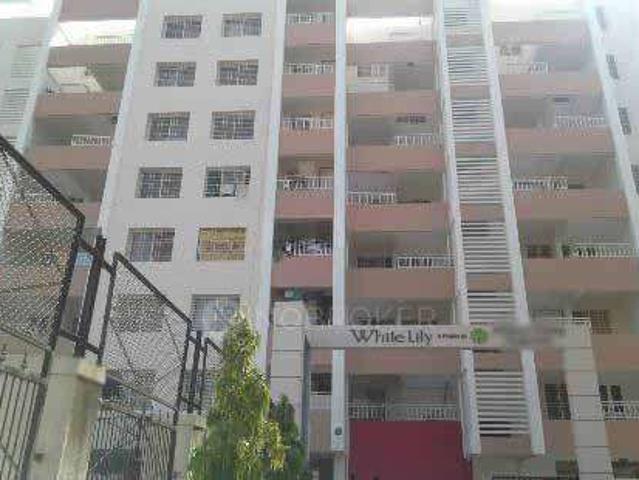 1 BHK Flat In Whitelily For Sale In Wakad