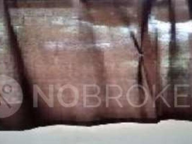 1 BHK Flat In Windsor Maple Woodz for Rent In Wagholi