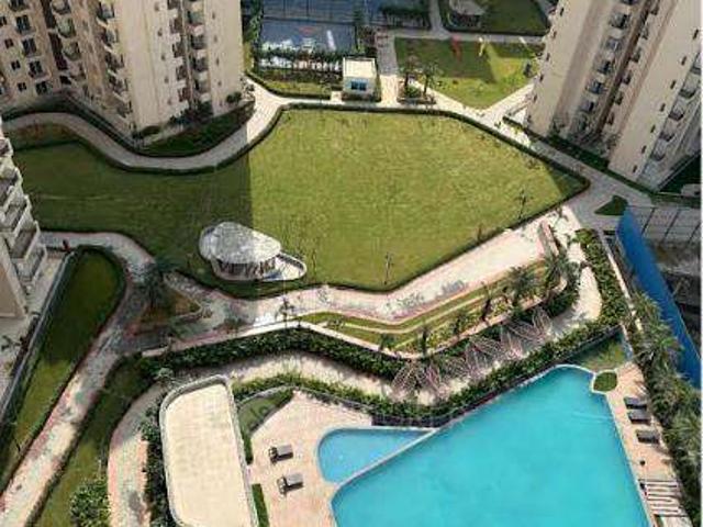 1 BHK Flat In 1.5 Bhk Oasis Grandstand for Rent In Chapar