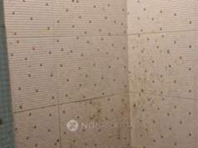 1 BHK House for Rent In Janakpuri