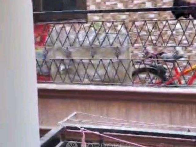 1 BHK House for Rent In, Maidan Gari