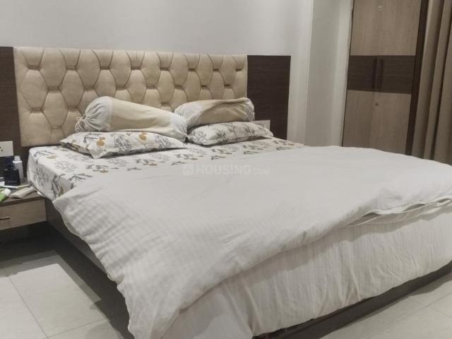 1 BHK Independent Builder Floor in DLF Phase 2 for rent Gurgaon. The reference number is 20214285