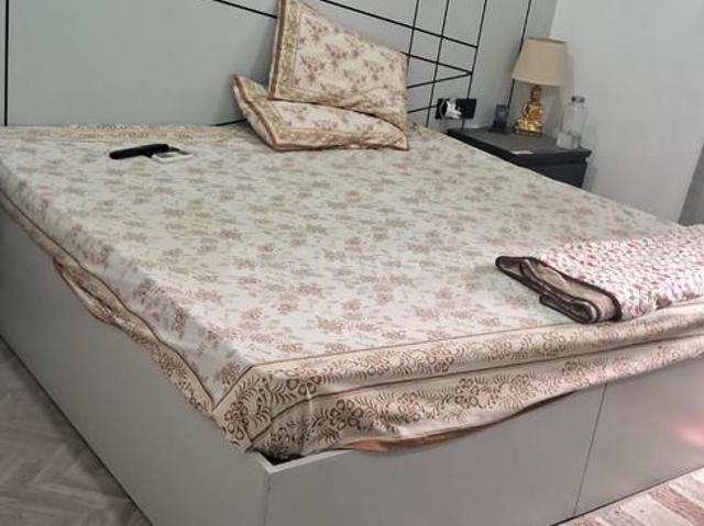 1 BHK Independent Builder Floor in DLF Phase 2 for rent Gurgaon. The reference number is 20221514