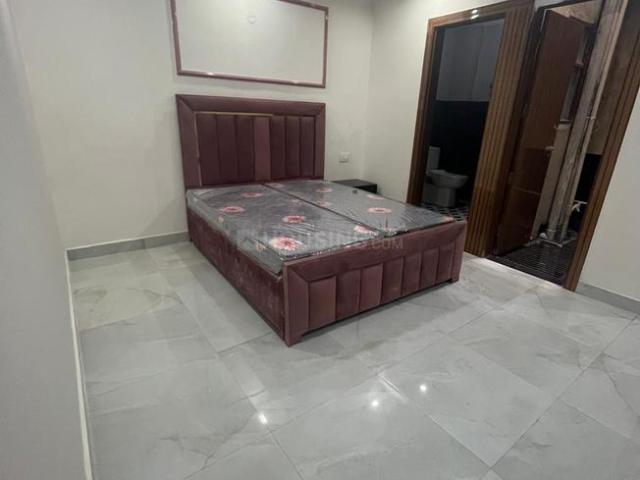 1 BHK Independent Builder Floor in DLF Phase 3 for rent Gurgaon. The reference number is 19995397