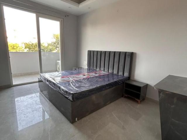 1 BHK Independent Builder Floor in DLF Phase 3 for rent Gurgaon. The reference number is 20404625