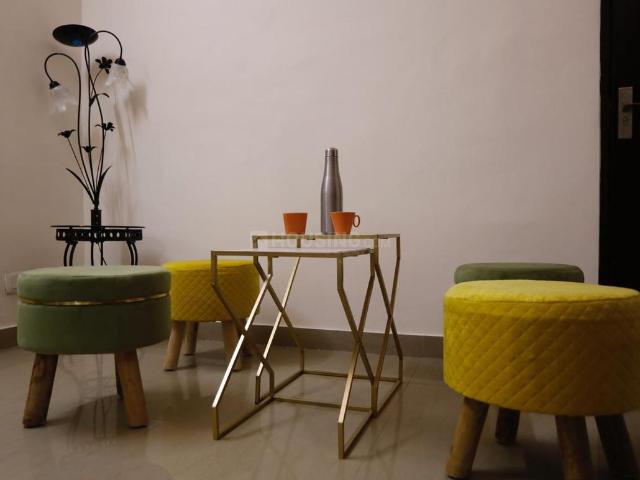 1 BHK Independent Builder Floor in DLF Phase 3 for rent Gurgaon. The reference number is 20486860