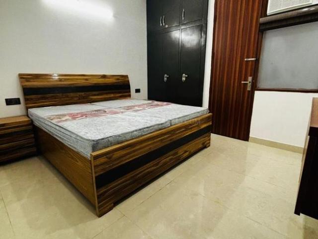 1 BHK Independent Builder Floor in DLF Phase 3 for rent Gurgaon. The reference number is 20653896