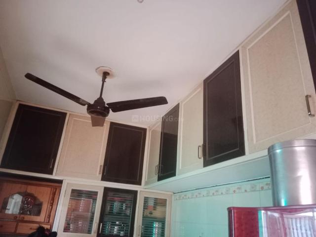 1 BHK Independent Builder Floor in Ghatlodiya for rent Ahmedabad. The reference number is 20866268