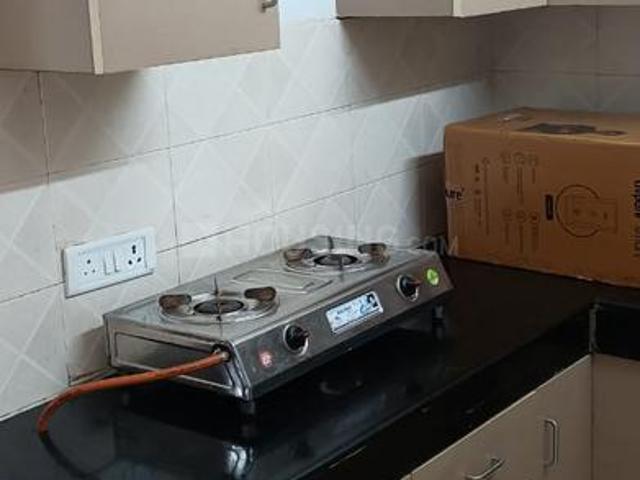 1 BHK Independent Builder Floor in Lajpat Nagar for rent New Delhi. The reference number is 20126841