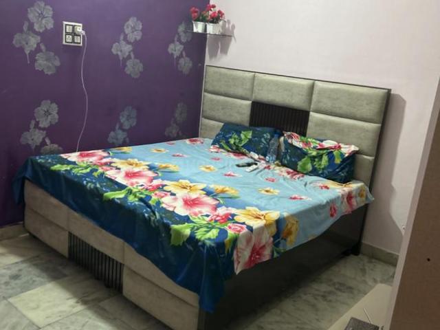 1 BHK Independent Builder Floor in Patel Nagar for rent Jalandhar. The reference number is 11274421