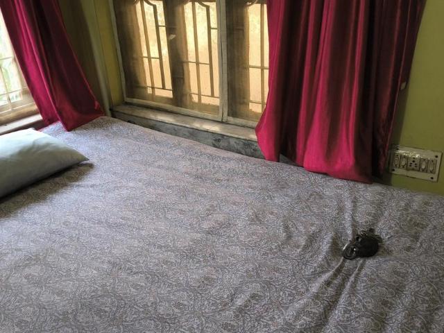 1 BHK Independent Builder Floor in Salt Lake City for rent Kolkata. The reference number is 20157226