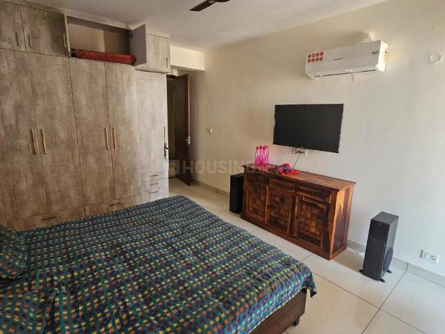 1 BHK Independent Builder Floor in Sector 8 for rent Panchkula. The reference number is 20749650