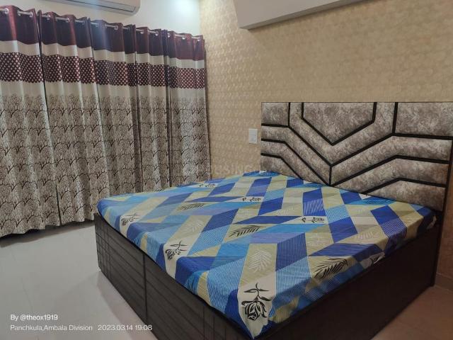 1 BHK Independent Builder Floor in Sector 10 for rent Panchkula. The reference number is 19465026