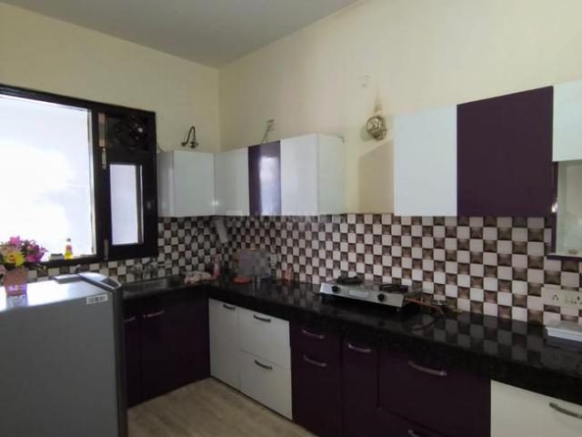 1 BHK Independent Builder Floor in Sector 12 for rent Panchkula. The reference number is 20893580