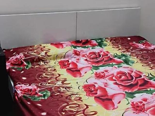 1 BHK Independent House in Model Town for rent Karnal. The reference number is 18917628