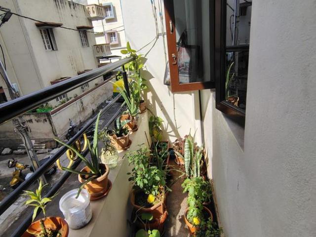 1 BHK Independent House in Rajajinagar for rent Bengaluru. The reference number is 20493638