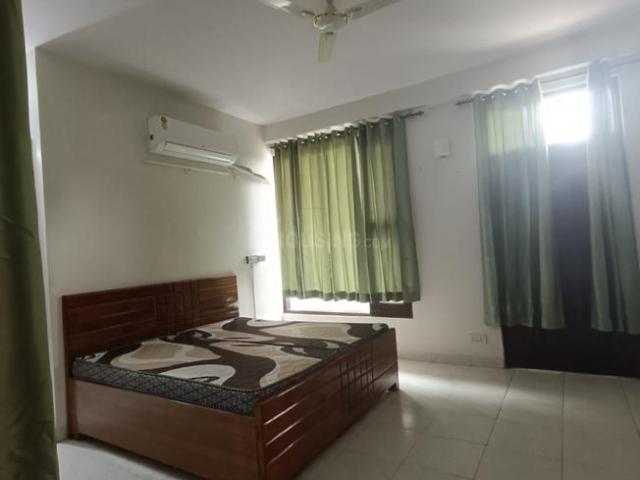 1 BHK Independent House in Sector 23 for rent Gurgaon. The reference number is 19478155