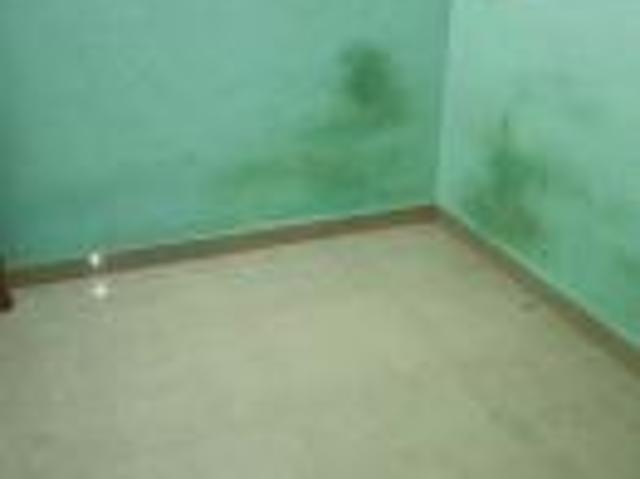 1 BHK rent Apartment in Keshav Nagar, Pune