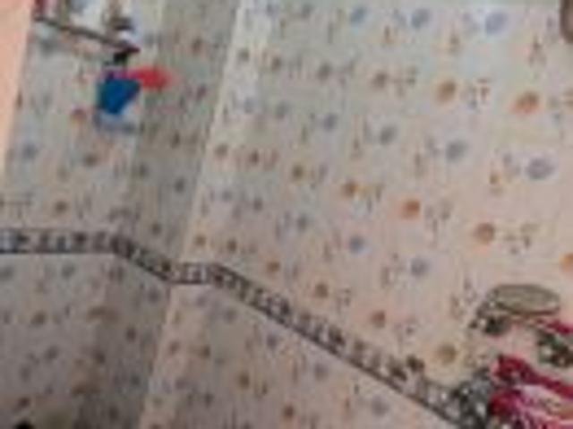 1 BHK rent BuilderFloor in Shahdara, Delhi