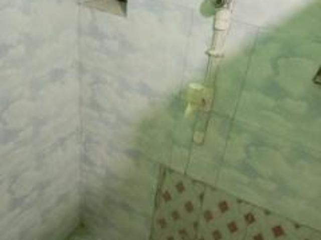 1 BHK rent Villa in Dum Cantonment, Kolkata