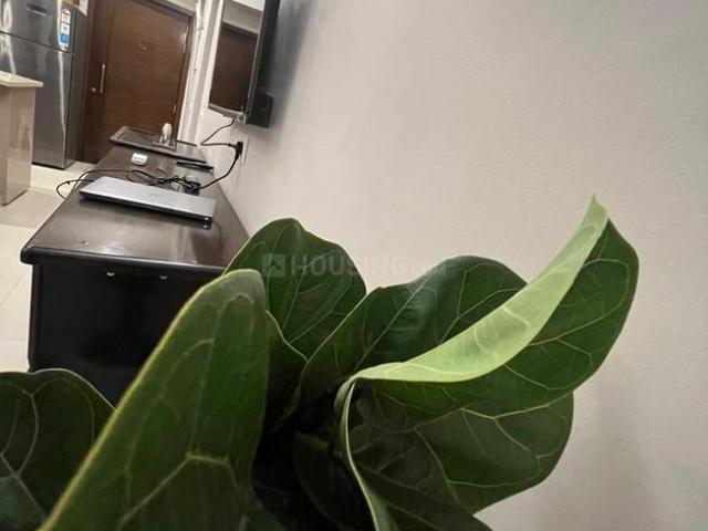 1 BHK Studio in Sector 33 for rent Sohna. The reference number is 20954624