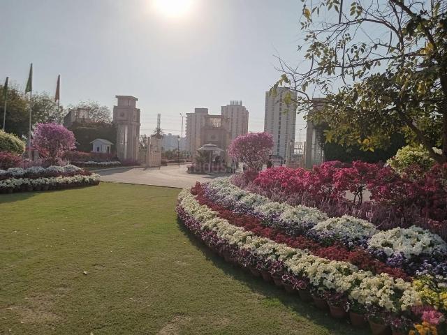 1 BHK Studio in Sector 33 for resale Sohna. The reference number is 18874178