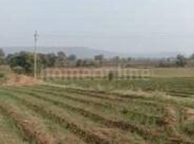 1 bigah Agricultural land in Shiwni, Indore | Commercial