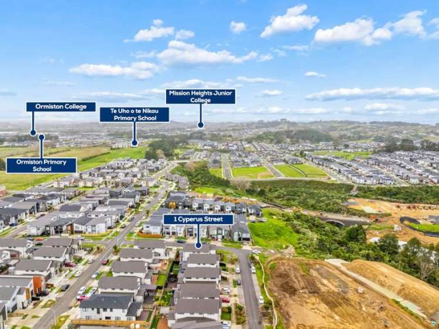 1 Cyperus Street, Flat Bush, Manukau City