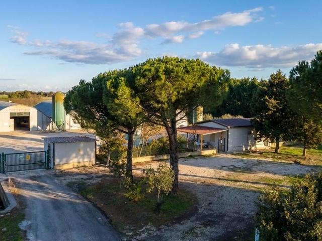1 Camera da Letto Fattoria Umbria In Vendita A1190ta. m² Castiglione del Lago