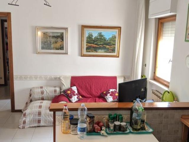 1 camera studente a due passi universit