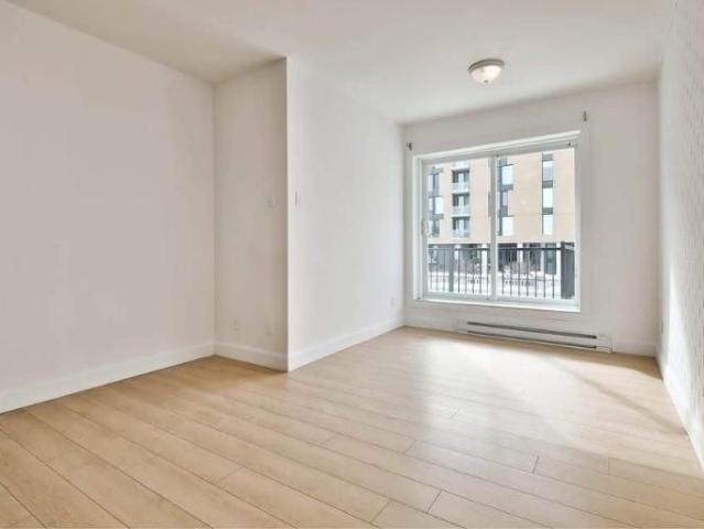 1 CH 1 SDB Montréal $1,295 /mo