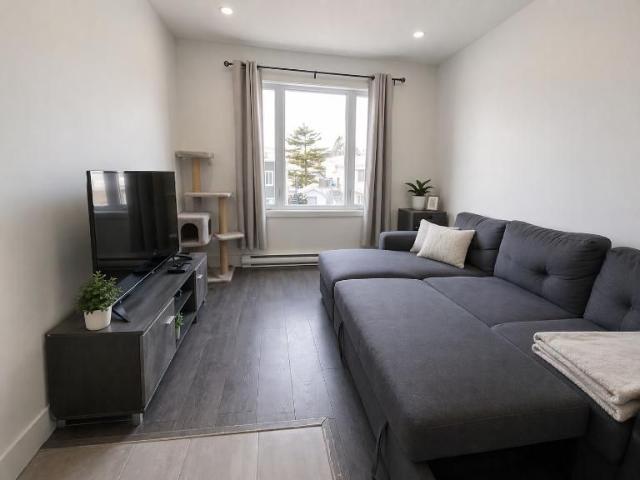 1 CH 1 SDB Québec $1,095 /mo