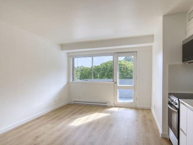 1 de la Cote Saint Catherine Studio Apartment for Rent at 1 Ch De La Côte Sainte Catherine, Montréal, QC H2V 1Z8 Mile End