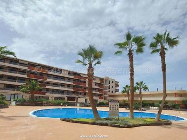 1 Dormitorio Condo Balcon De Los Gigantes Puerto De Santiago 97103572